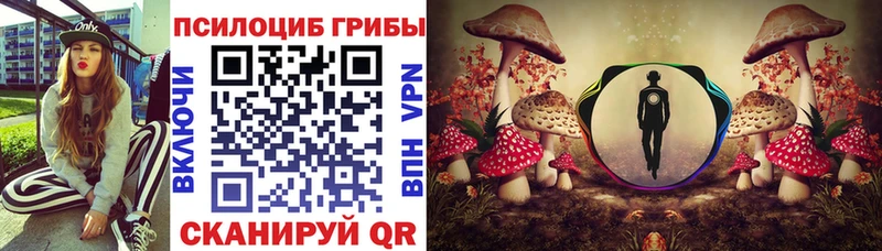 Галлюциногенные грибы Magic Shrooms  Купить где  Зверево 